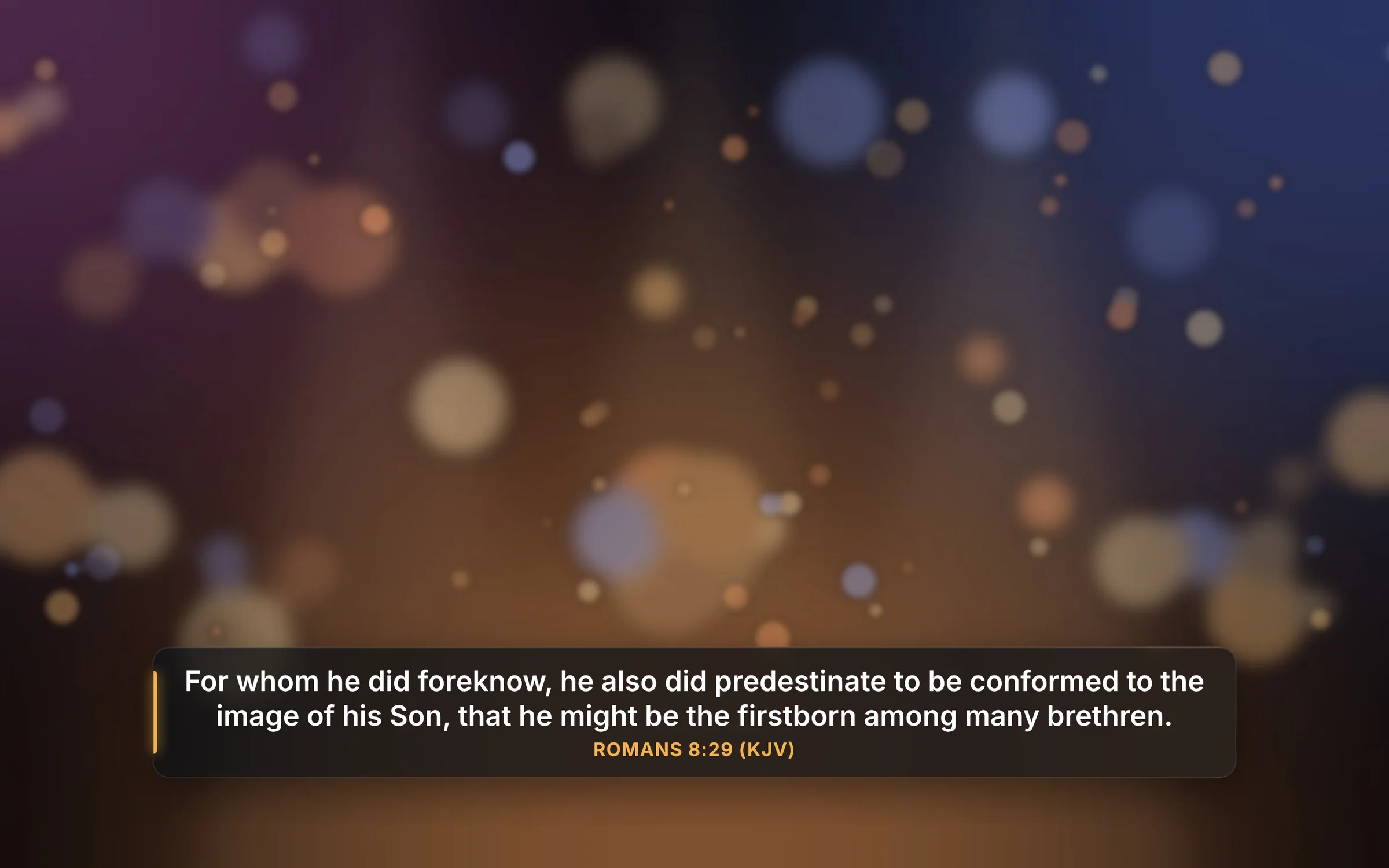 A livestream frame: a softly lit sanctuary behind a dark glass lower third reading Romans 8:29 in the King James Version, with an amber accent bar.