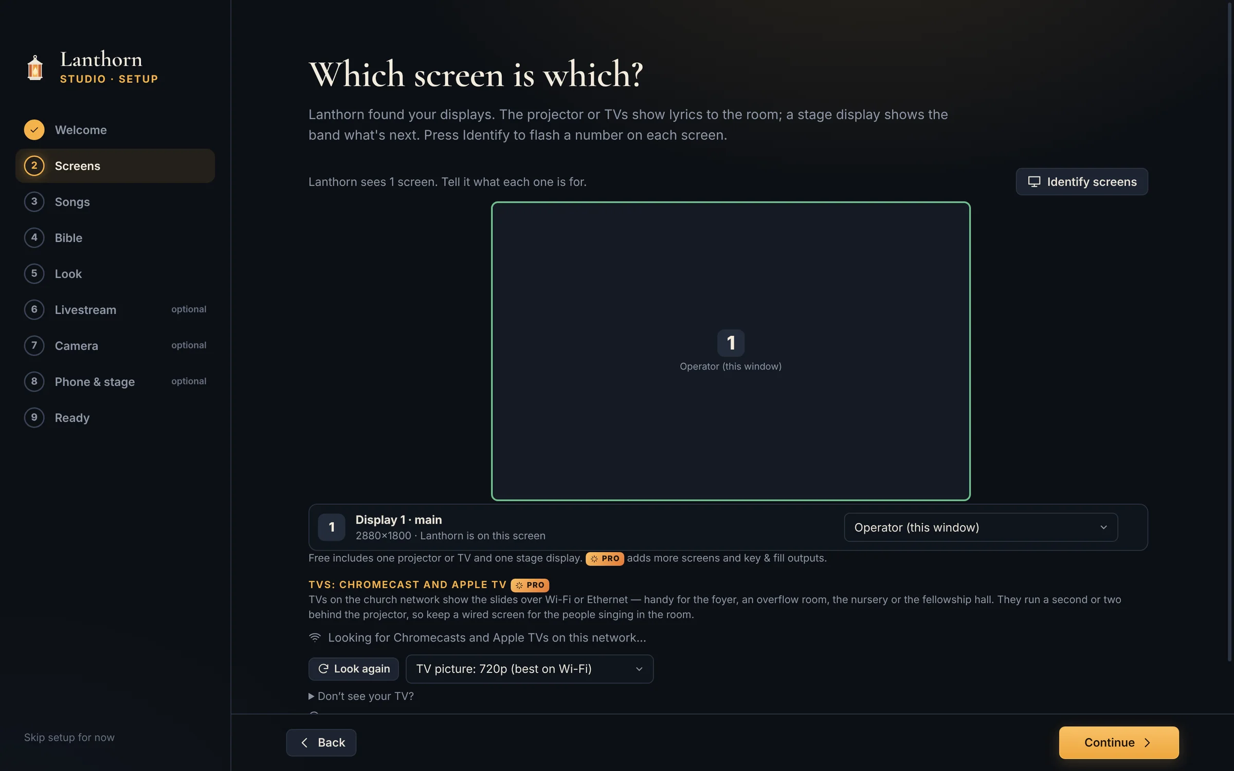 The setup wizard’s Which screen is which? step: the connected display with its role, an Identify screens button, and the Chromecast and Apple TV section. Nine steps are listed on the left.